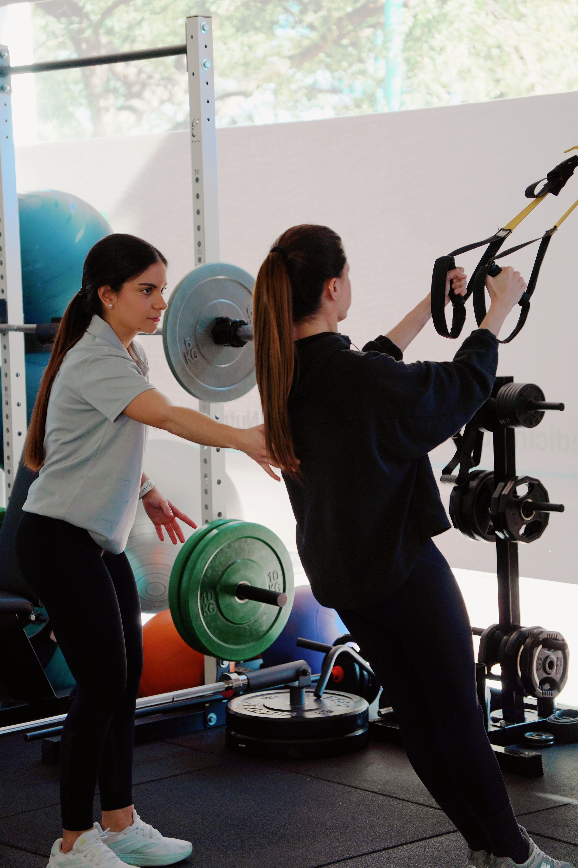Entrenamiento de Fuerza en Torrent